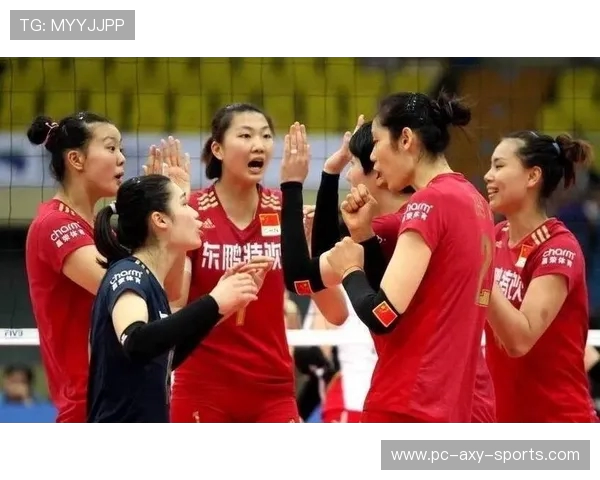 杭州排球队战术引发热议球迷与专家观点大碰撞