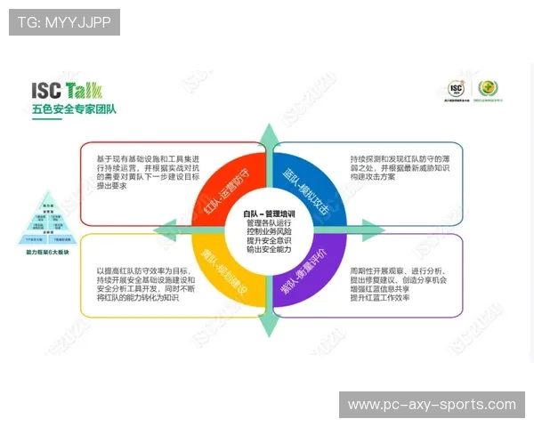 西安极限运动队的防守体系与战术分析探讨
